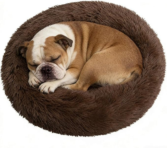 Why Every Anxious Dog Needs a "Donut" Bed (And Why You'll Love This One)