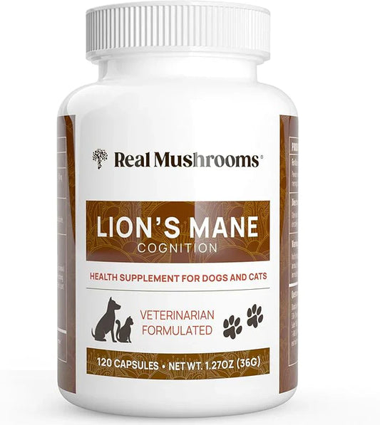 Is Your Senior Pet Acting "Confused"? The Natural Brain Booster Every Older Pet Needs