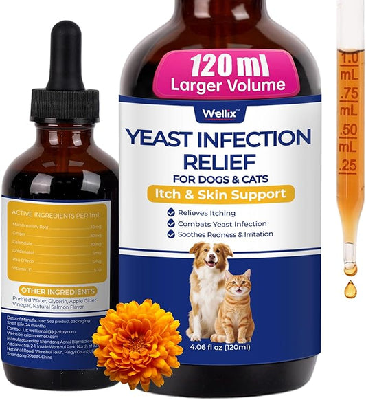 Stop the Itch: Natural Yeast Infection Relief for Dogs & Cats 🐾