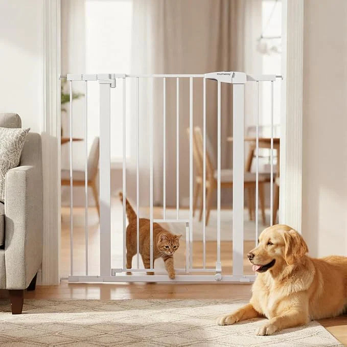 How to Finally Keep the Dog Out of the Cat's Litter Box (Without Blocking the Cat!)