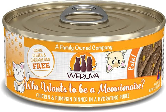Treat Your Cat Like a Meowionaire with Weruva! 🍗 | Don't Cry Pet