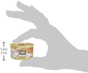 Purina Fancy Feast Sliced Turkey Feast Wet Cat Food in Gravy - (Pack of 24) 3 oz. Cans