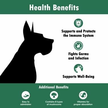 Mycogen Soft Chew for Dogs - 8 Species Mushroom Blend for Critical Immune System Support- Turkey Tail, Reishi, Shiitake, Cordyceps, Black Tree Fungus-240 Tasty Soft Chews