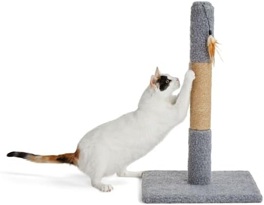 EveryYay by Petco Essentials Scratchin' The Surface Post with Scratcher Cat Toy, Grey, 26"