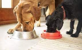 Freeze Chicken and Broccoli Pet Food - Non-GMO - Made in USA