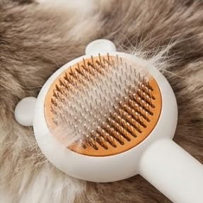 White Cat Combing Brush – Premium Hair Removal Tool for Cats & Dogs. Pet Store Supplies: Dog Brushing Combs, Cat Hair Cleaners, and Pet Care Products.