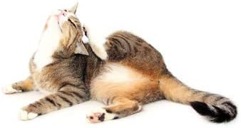 I Love My Pets cat Immune Supplement - Cats Allergy Relief - Itch Relief - Premium Supplement - Treats - cat Skin and Coat Supplement - 150 Tablets (2 Bottles)