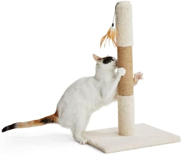 EveryYay by Petco Essentials Scratchin' The Surface Post with Scratcher Cat Toy, Cream, 26"