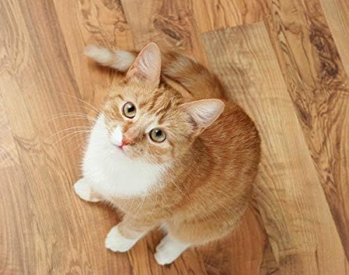 I LOVE MY PETS LLC cat Urinary Tract Supplement - CAT Urinary Tract Support - Natural Complex - Premium - Urinary Supplements for Cats - 270 Treats (3 Bottles)