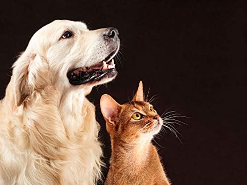 cat Dry Skin Relief - Pets Hair and Coat Boost - for Dogs and Cats - Supports Healthy Skin Hair Nails - cat Immune Support - 3 Bottles (180 Tablets)