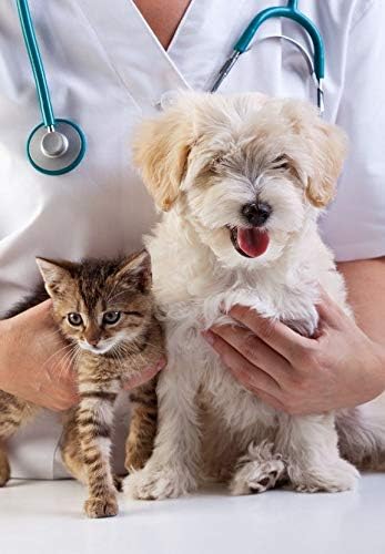 cat antioxidants - Pets Total Health Formula for Dogs and Cats Supplement - cat Diet Treat - 2 Bottles (120 Treats)