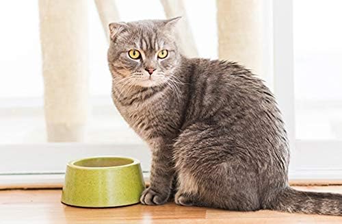 Hip and Joint Support for Cats - Cats Total Health Complex - Joint Coat Eye Immune Support Formula - cat Immune System Boost - 3 Bottles (180 Tablets)