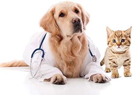 cat Urinary Tract Health Supplements - Cats Total Health Complex - Immune Support - Hair Coat Oral Eye Urinary Care - cat Fur Health - 2 Bottles (120 Tablets)