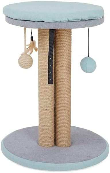 EveryYay by Petco Scratchin' The Surface Cat Scratcher with 3-Sided Play Post, 20.5" H