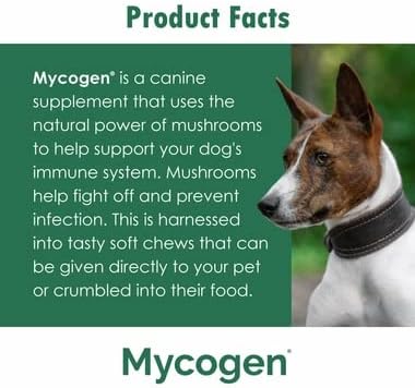 Mycogen Soft Chew for Dogs - 8 Species Mushroom Blend for Critical Immune System Support- Turkey Tail, Reishi, Shiitake, Cordyceps, Black Tree Fungus-240 Tasty Soft Chews