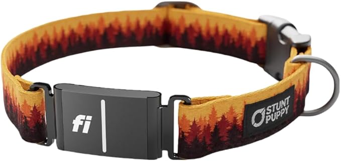 Stunt Puppy Dog Collar, Fi Series 3 and 3+ Ready, Pines Orange, Large - Compatible with Fi GPS Device (Not Included)