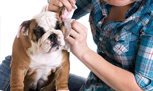 All-Purpose Dog Wipes - Pet Wipes for Dogs with Natural Ingredients - Puppy Wipes with Aloe Extract for Everyday Use, 100-Pack