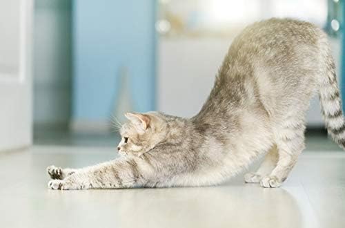 I LOVE MY PETS LLC Urinary Tract cat Treats - Total PET Health for Cats - Premium Quality Formula - Chews - antioxidant for Cats - 2 Bottles (120 Treats)