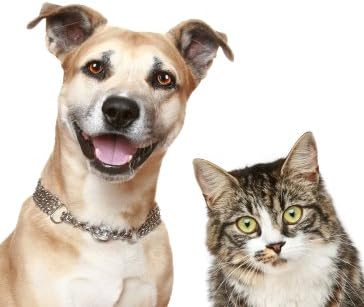 cat Vitamin Treats - PET Ultra Vitamins - Premium Minerals - for Cats and Dogs - cat Vitamin Chews - 2 Bottle (180 Chewable)