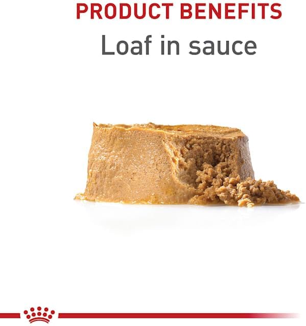 Royal Canin Canine Health Nutrition Puppy Loaf in Sauce Canned Dog Food, 5.2 oz., Case of 24