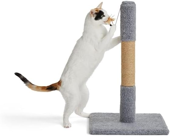 EveryYay by Petco Essentials Scratchin' The Surface Post with Scratcher Cat Toy, Grey, 26"