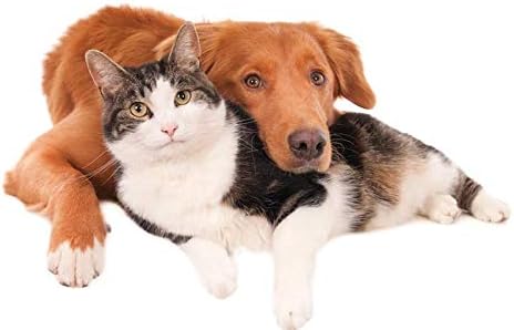 cat Dry Skin Relief - Pets Hair and Coat Boost - for Dogs and Cats - Supports Healthy Skin Hair Nails - cat Vitamin c - 2 Bottles (120 Tablets)