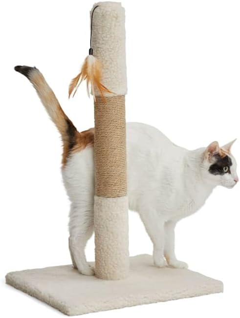 EveryYay by Petco Essentials Scratchin' The Surface Post with Scratcher Cat Toy, Cream, 26"