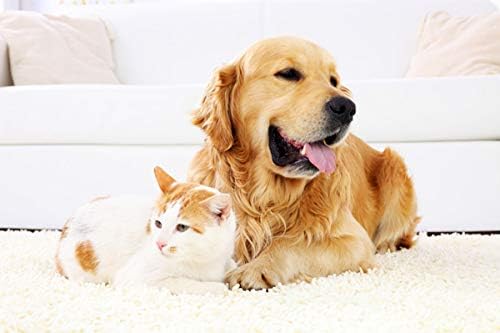 Old cat Supplements - Pets Healthy Hair and Coat - Boost Immune System - Nail Health - Premium Complex - Vitamins for Cats Kidney - 120 Treats (2 Bottles)