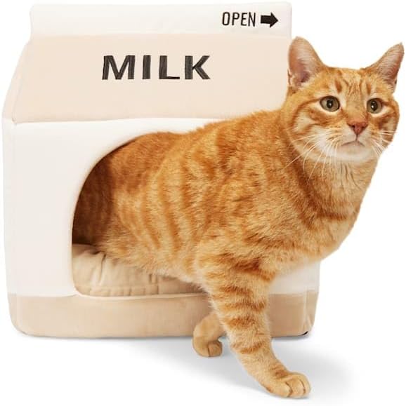 EveryYay by Petco Milk Carton Hooded Cat Bed 14" L X 14" W X 16" H