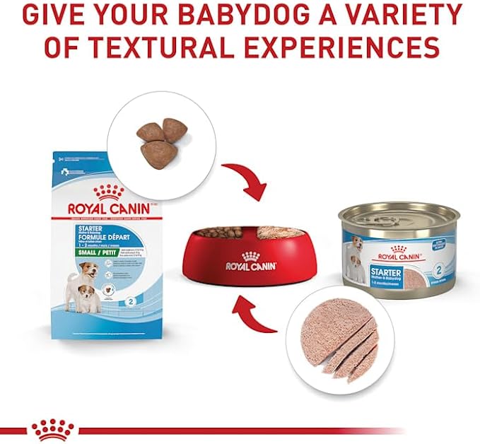 Royal Canin Size Health Nutrition Mother & Babydog Starter Ultra Soft Mousse in Sauce Dog Food, 5.1 oz., Case of 24