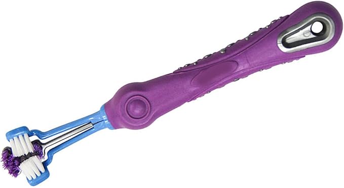 aqxreight 3 Sided Pet Toothbrush Multi Angle Dog Cat Toothbrush Pet Supplies for Oral Thoroughly Clean Pre 3 Sided Toothbrush3 Dog ToothbrushPet ToothbrushDog ToothbrushDog and (Green) (Purple)