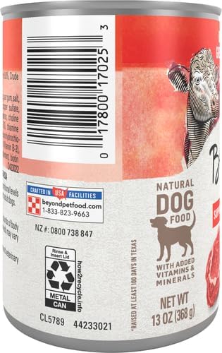 Nestle Purina Petcare Purina Beyond Dog Food - Grain Free Beef, Potato and Green Bean Recipe 13 oz. (178097) (Pack of 4)