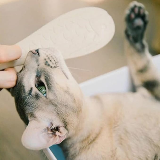Pet Brush Cat Tongue Massage Comb, Removing Loose Comb Pet Dog Grooming Shedding Cat Massages Supplies for Shedding Hair Removes Knots Pet Brushes(Blue)