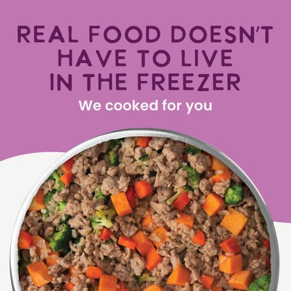 Health Extension Gently Cooked Lamb & Carrot Dog Food, Human-Grade & Shelf-Stable with Superfoods, Supports Digestion, Immunity, Skin & Coat, 9 oz Pouch (Pack of 1)