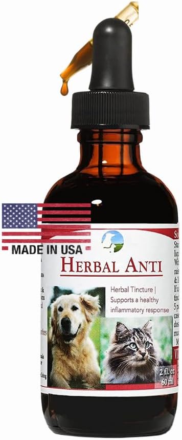 Vitality Science Herbal Anti for Cats and Dogs | Plant Based | GI Tract + Colon Health Supplement (2 oz)
