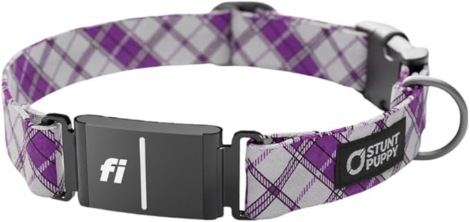 Stunt Puppy Dog Collar, Fi Series 3 and 3+ Ready, Lumberpup Smoke, X-Large - Compatible with Fi GPS Device (Not Included)