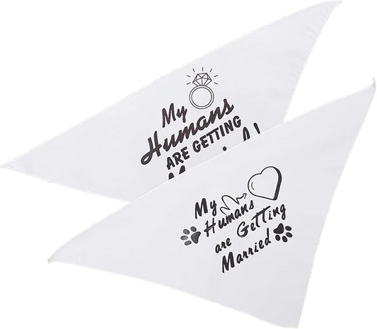 Cabilock 2pcs Decorative Dog Bandanas Bulk, Triangle Scarf Pet Bibs, Washable Puppy Bandanas for Dog and Cat Apparel, Stylish Pet Supplies for Everyday Wear