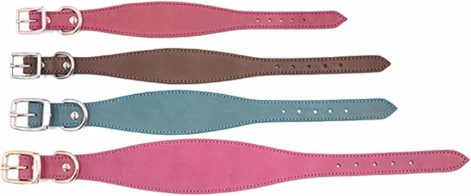 Fashion Dogs Collar for Salukis Sighthounds Wide Padded Pet Accessories Dogs Supplies Supplies Accessories