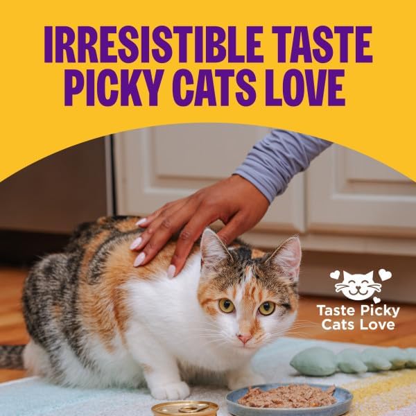 Wellness Natural Premium Canned Cat Wet Food Pate - 12 Pack Cans Bowl Variety Pack 4 Flavor - (Chicken,Beef, Salmon & Turkey) (3 Ounce Cans)
