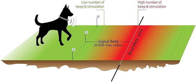 Active Dog -Yellow Standard Underground Electric Dog Fence - 1000 Feet of Yellow Wire for Easy Setup, Superior Longevity, and Reliable Pet Safety