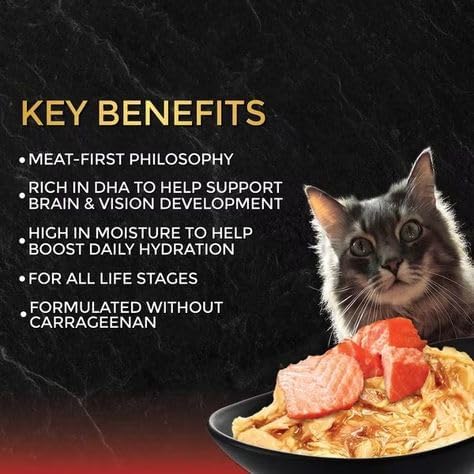 Felicia's Fabulous Finds Wet Chunks Cat Food in Gravy 3-Flavor Variety Bundle: Tuna with Salmon, Prawns or Ocean Fish (4 of Each Flavor, 12 Cans Total, 2.82 Ounces Each) Plus Silicone Lid