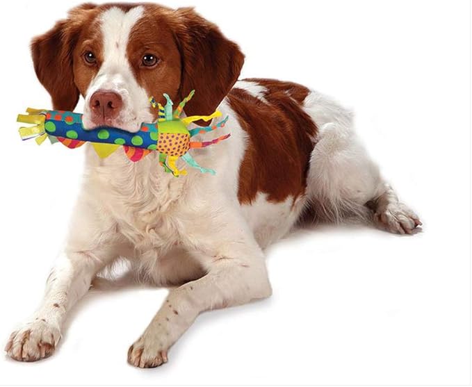 Petstages Pupstages Cool Teething Stick – Puppy Chew Toy for 0–6 Month Puppies, Teething Relief, Freezable & Durable
