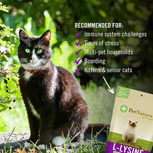 Pet Naturals Lysine for Cats, Chicken Flavor, 60 Chews - Immune and Respiratory Support for Cats - No Wheat or Corn - Vet Recommended