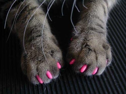 HDP Kitty or Doggy Nails Caps Size:Small 100 Count Girl Mix Color:Assorted