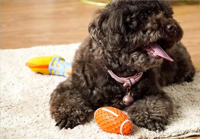 AUSCAT 2PCS Squeaky Dog Football Toy, Dog Chew Toy, Tough Rubber Dog Ball for Small Medium Dogs, Green and Orange, Small Size, 4.1''