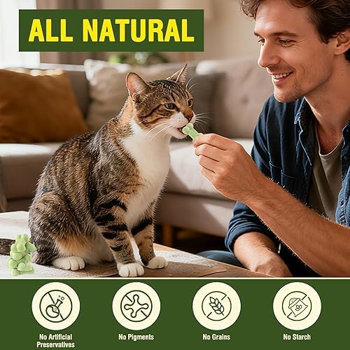 Freeze Dried Cat Dog Treats Salmon Chicken Natural Healthy Chicken Chewy Crunch Cats Snacks for All Breeds