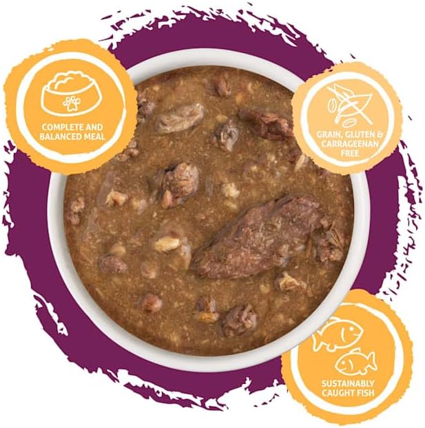 Soulistic Moist & Tender Salmon Dinner in Gravy Wet Cat Food, 3 oz., Case of 12