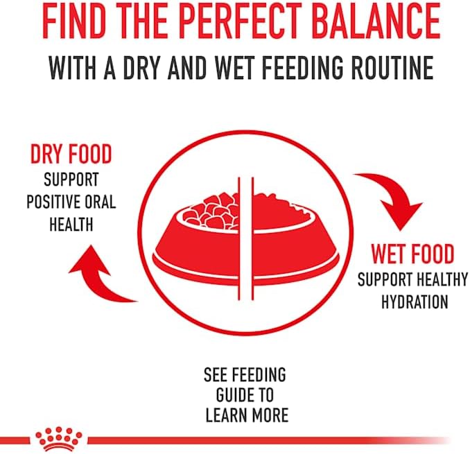Royal Canin Canine Health Nutrition Beauty Adult Loaf in Sauce Canned Dog Food, 5.2 oz., Case of 24