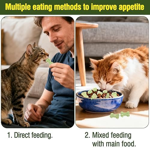 Freeze Dried Cat Dog Treats Salmon Chicken Natural Healthy Chicken Chewy Crunch Cats Snacks for All Breeds