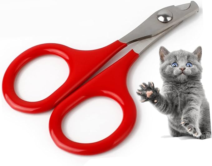 Beaupretty 6pcs Dog Nail Trimmer Stainless Steel for Dogs Cat Grooming Scissors Pet Nail Bend Cutter Home Salon Clipper